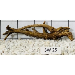 Stump wood 25