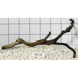 Stump wood 26