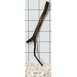 Stump wood 27