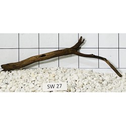 Stump wood 27
