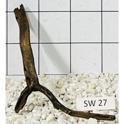 Stump wood 27