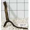 Stump wood 27