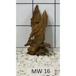 Mangrovewood 16