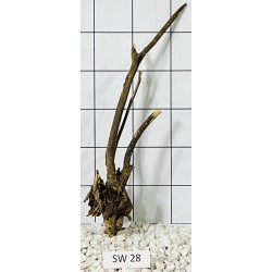 Stump wood 28