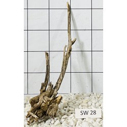 Stump wood 28
