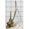 Stump wood 28