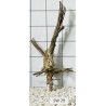 Stump wood 29