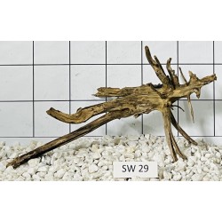 Stump wood 29