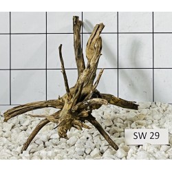 Stump wood 29