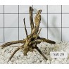 Stump wood 29