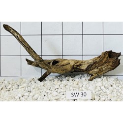 Stump wood 30