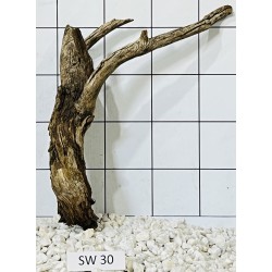 Stump wood 30
