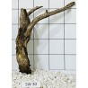 Stump wood 30