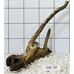 Stump wood 30