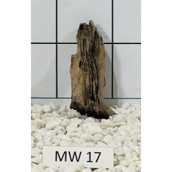 Mangrovewood 17