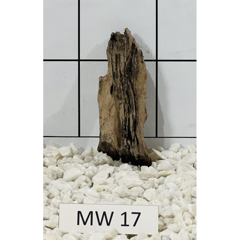 Mangrovewood 17
