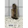 Mangrovewood 17