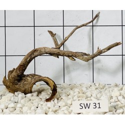 Stump wood 31