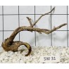 Stump wood 31