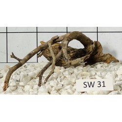Stump wood 31