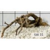 Stump wood 31
