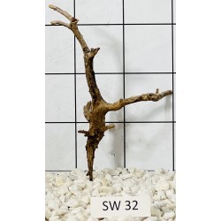 Stump wood 32