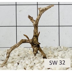 Stump wood 32