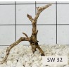 Stump wood 32