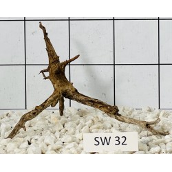 Stump wood 32