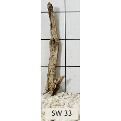 Stump wood 33