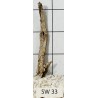 Stump wood 33