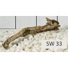 Stump wood 33