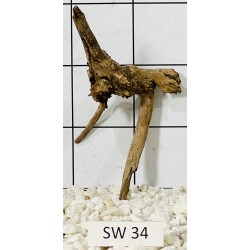 Stump wood 34
