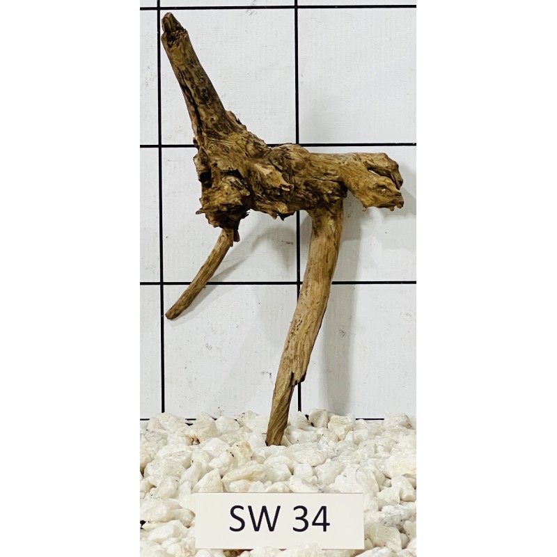 Stump wood 34