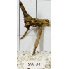 Stump wood 34