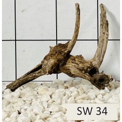Stump wood 34