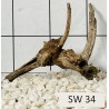Stump wood 34