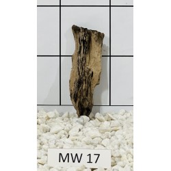 Mangrovewood 17