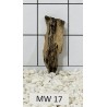 Mangrovewood 17