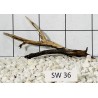 Stump wood 36