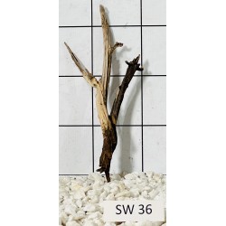 Stump wood 36