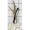 Stump wood 36