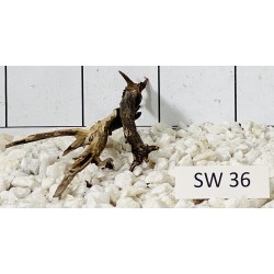Stump wood 36