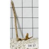 Stump wood 37