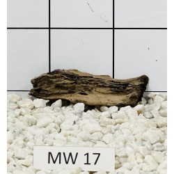 Mangrovewood 17