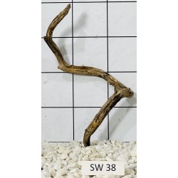 Stump wood 38