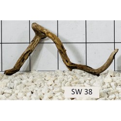 Stump wood 38