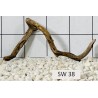 Stump wood 38