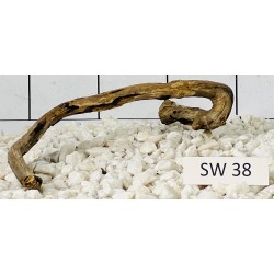 Stump wood 38