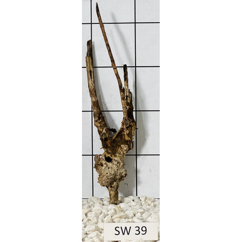 Stump wood 39